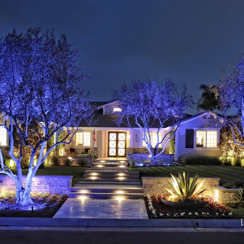 Landscape Lighting Photo